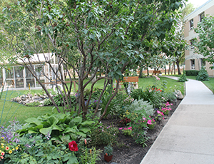 Gardens on the outskirts of a building