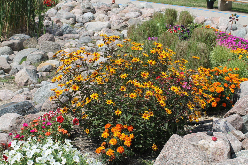 Living Here Gallery 4